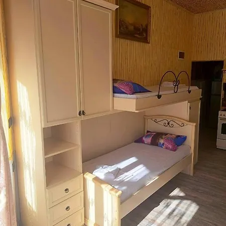 Vip Antique A1 Апартаменты *